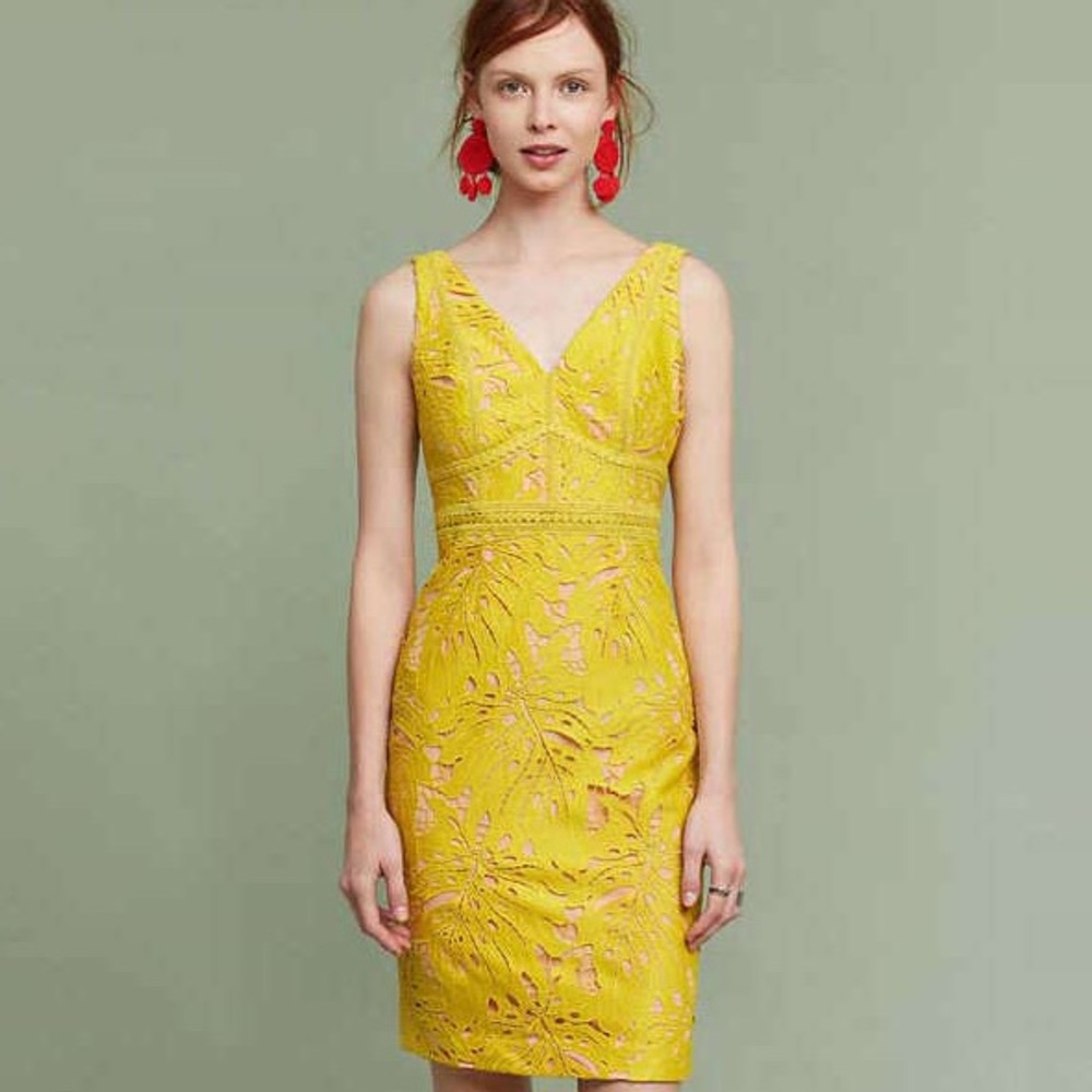 Anthropologie-Maeve-Gardenia Lace Column Dress Sz8